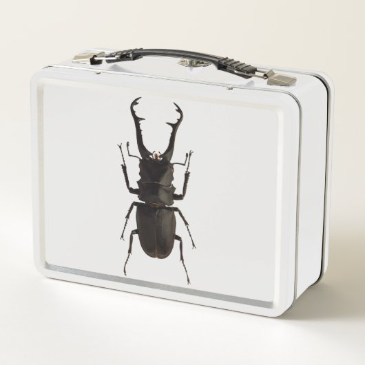 Stag Beetle (Achterkant)