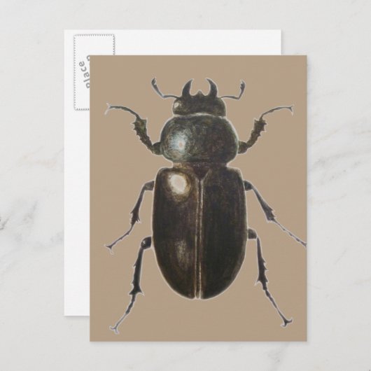 Stag Beetle 2011 Briefkaart (Voorkant / Achterkant)