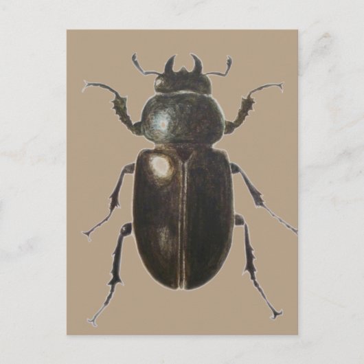 Stag Beetle 2011 Briefkaart (Voorkant)