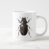 Stag Beetle 2011 Grote Koffiekop (Rechts)