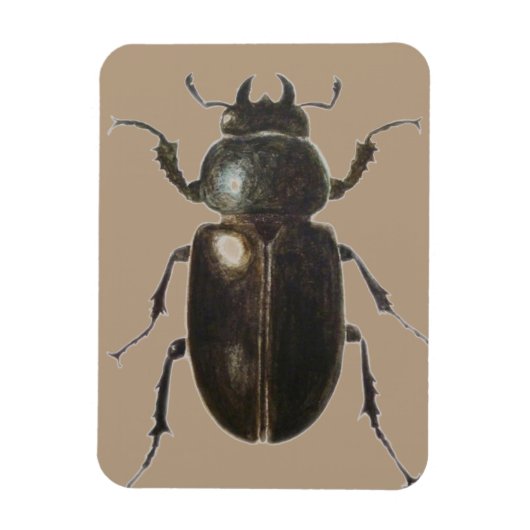 Stag Beetle 2011 Magneet (Verticaal)