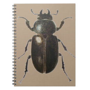 Stag Beetle 2011 Notitieboek