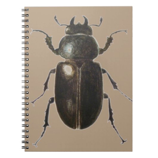 Stag Beetle 2011 Notitieboek (Voorkant)