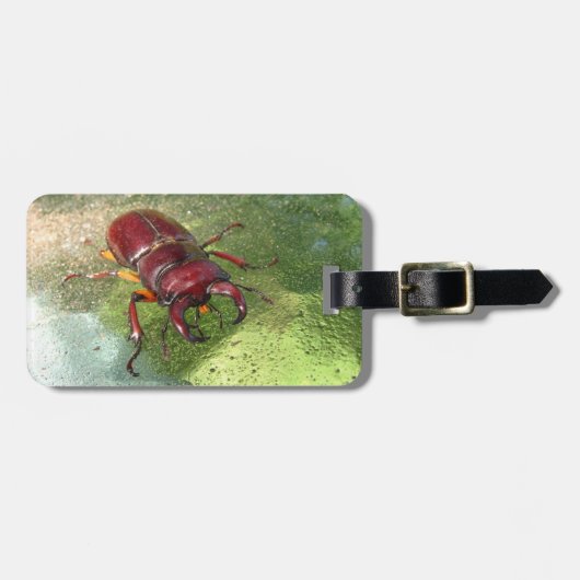 Stag Beetle ~ Bagagelabel (Voorkant horizontaal)