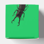 Stag Beetle Bedankdoosjes (Bovenkant)