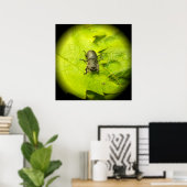 Stag Beetle, Beetles, Bug Poster (Thuiskantoor)