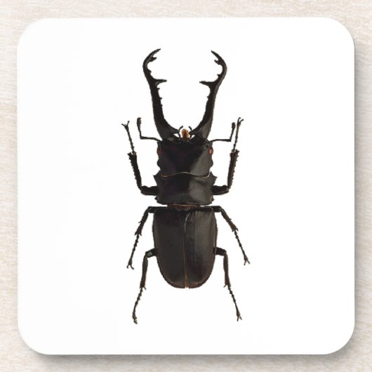 Stag Beetle Bier Onderzetter (Voorkant)