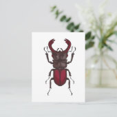 Stag beetle briefkaart (Staand voorkant)