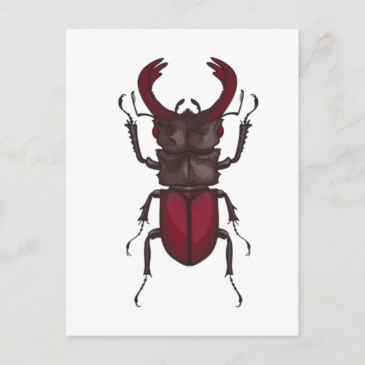Stag beetle briefkaart (Voorkant)
