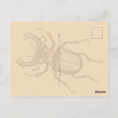 Stag Beetle Briefkaart (Achterkant)