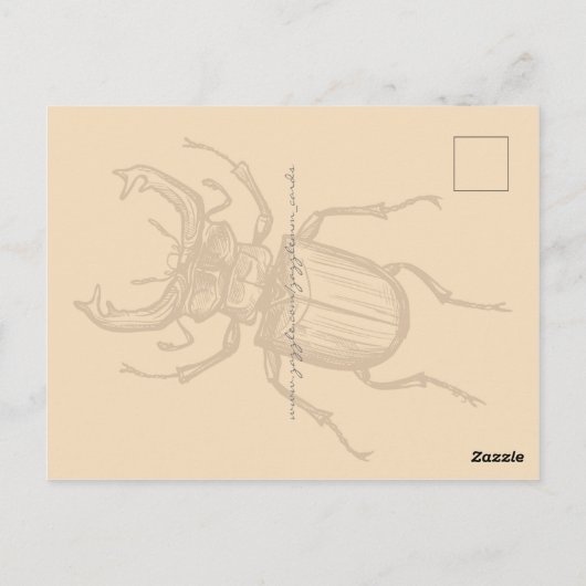 Stag Beetle Briefkaart (Achterkant)