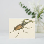 Stag Beetle Briefkaart (Staand voorkant)