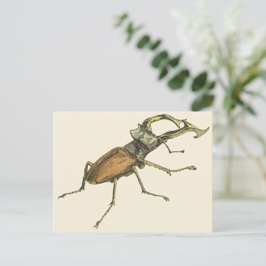 Stag Beetle Briefkaart (Staand voorkant)