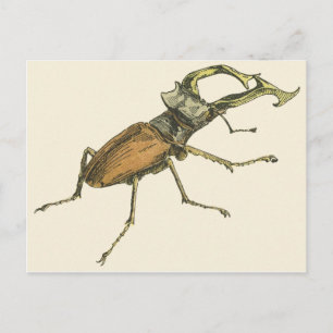 Stag Beetle Briefkaart