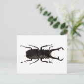 Stag Beetle Briefkaart (Staand voorkant)