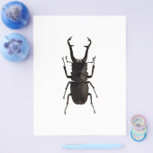 Stag Beetle Flyer (Enkel)