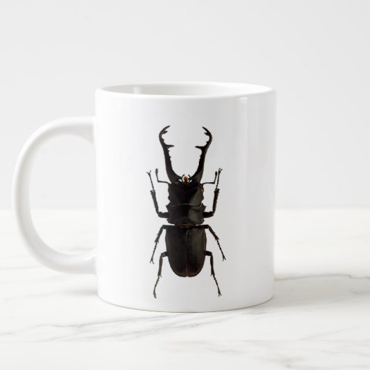 Stag Beetle Grote Koffiekop (Links)