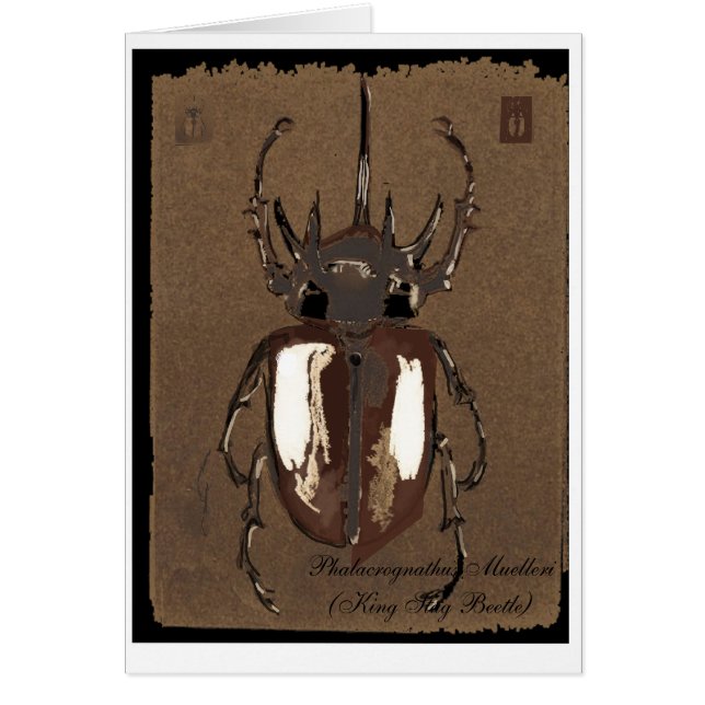 Stag Beetle-kaart (Voorkant)