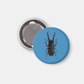 Stag Beetle Magneet (Voorkant / Achterkant)