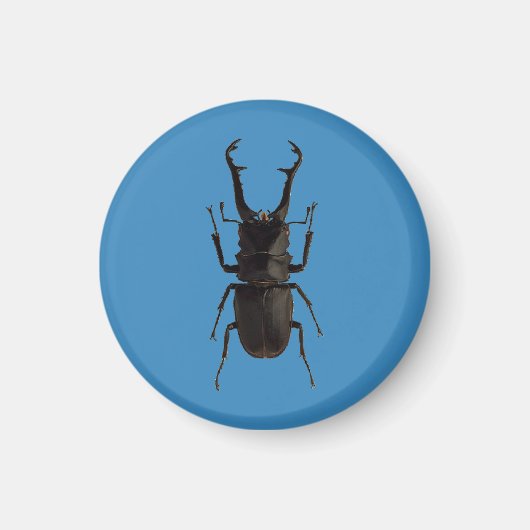 Stag Beetle Magneet (Voorkant)