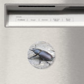 Stag Beetle Magnet (Insitu (Vaatwasser))