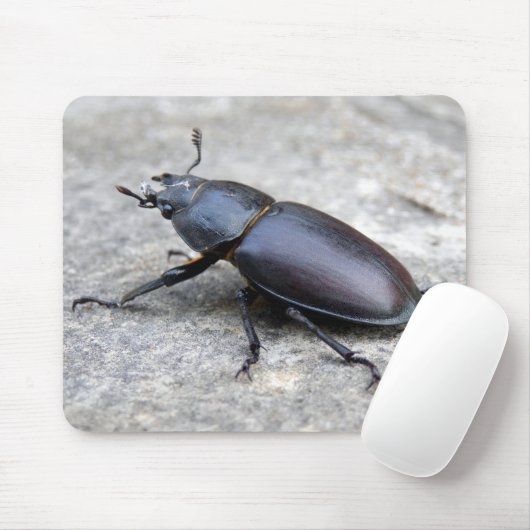 Stag Beetle Mouse Mat Muismat (Met muis)