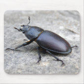 Stag Beetle Mouse Mat Muismat (Voorkant)