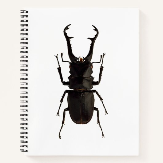 Stag Beetle Notitieboek (Voorkant)