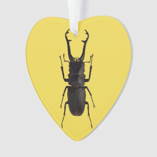 Stag Beetle Ornament (voorkant)