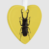 Stag Beetle Ornament (voorkant)