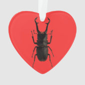 Stag Beetle Ornament (achterkant)