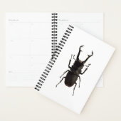 Stag Beetle Planner (Display)