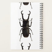 Stag Beetle Planner (Achterkant)