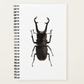 Stag Beetle Planner (Voorkant)