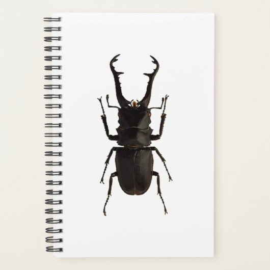 Stag Beetle Planner (Voorkant)