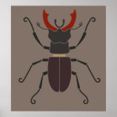 Stag Beetle Poster (Voorkant)