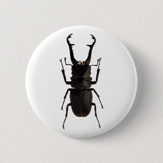 Stag Beetle Ronde Button 5,7 Cm (Voorkant)
