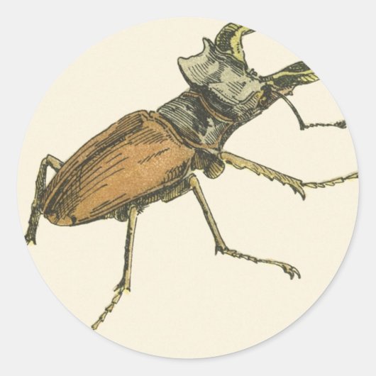 Stag Beetle Ronde Sticker (Voorkant)