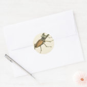 Stag Beetle Ronde Sticker (Envelop)