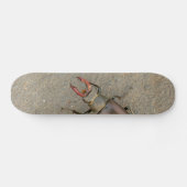 Stag Beetle Skateboard (Horizontaal)