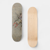 Stag Beetle Skateboard (Voorkant)