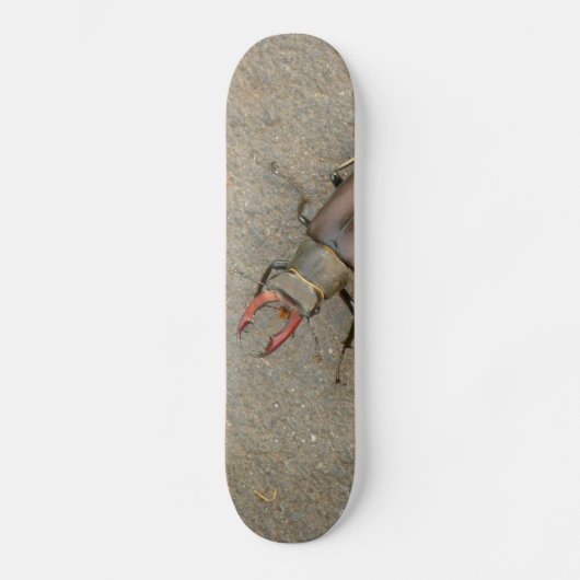 Stag Beetle Skateboard (Voorkant)