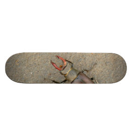 Stag Beetle Skateboard