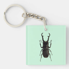Stag Beetle Sleutelhanger