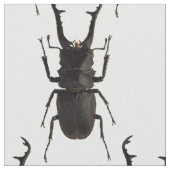 Stag Beetle Stof (Close Up)