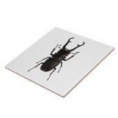Stag Beetle Tegeltje (Zijkant)
