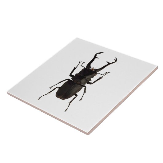 Stag Beetle Tegeltje (Zijkant)
