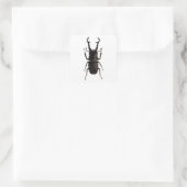Stag Beetle Vierkante Sticker (Tas)