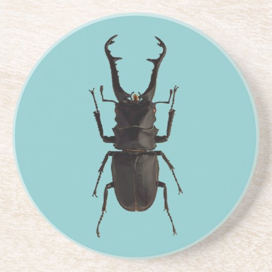 Stag Beetle Zandsteen Onderzetter (Voorkant)
