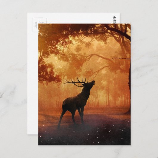 Stag bij zonsondergang briefkaart (Voorkant / Achterkant)